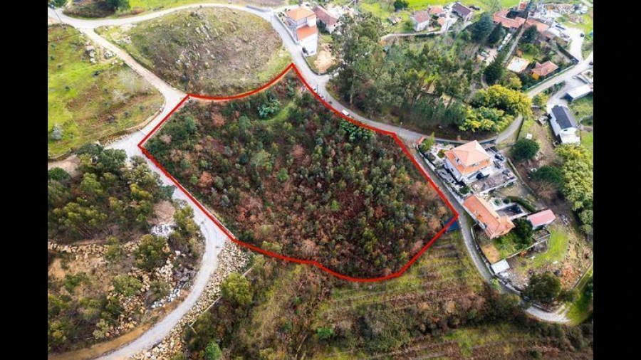 Terreno para Venda em Penhalonga e Paços de Gaiolo