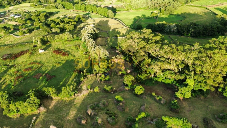 Terreno para Venda em Altares Foto 2