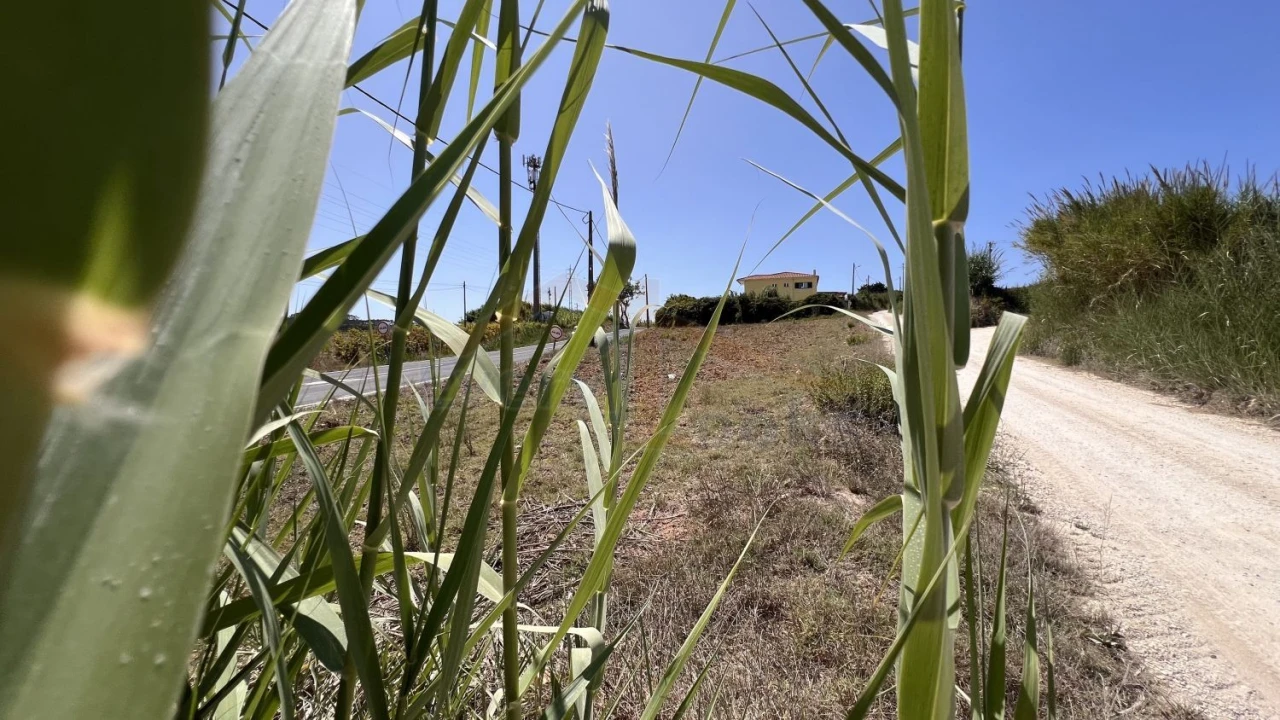 Terreno para Venda em Olho Marinho Foto 15