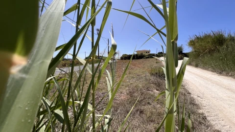 Terreno para Venda em Olho Marinho