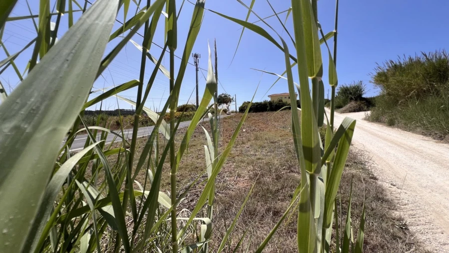 Terreno para Venda em Olho Marinho Foto 14