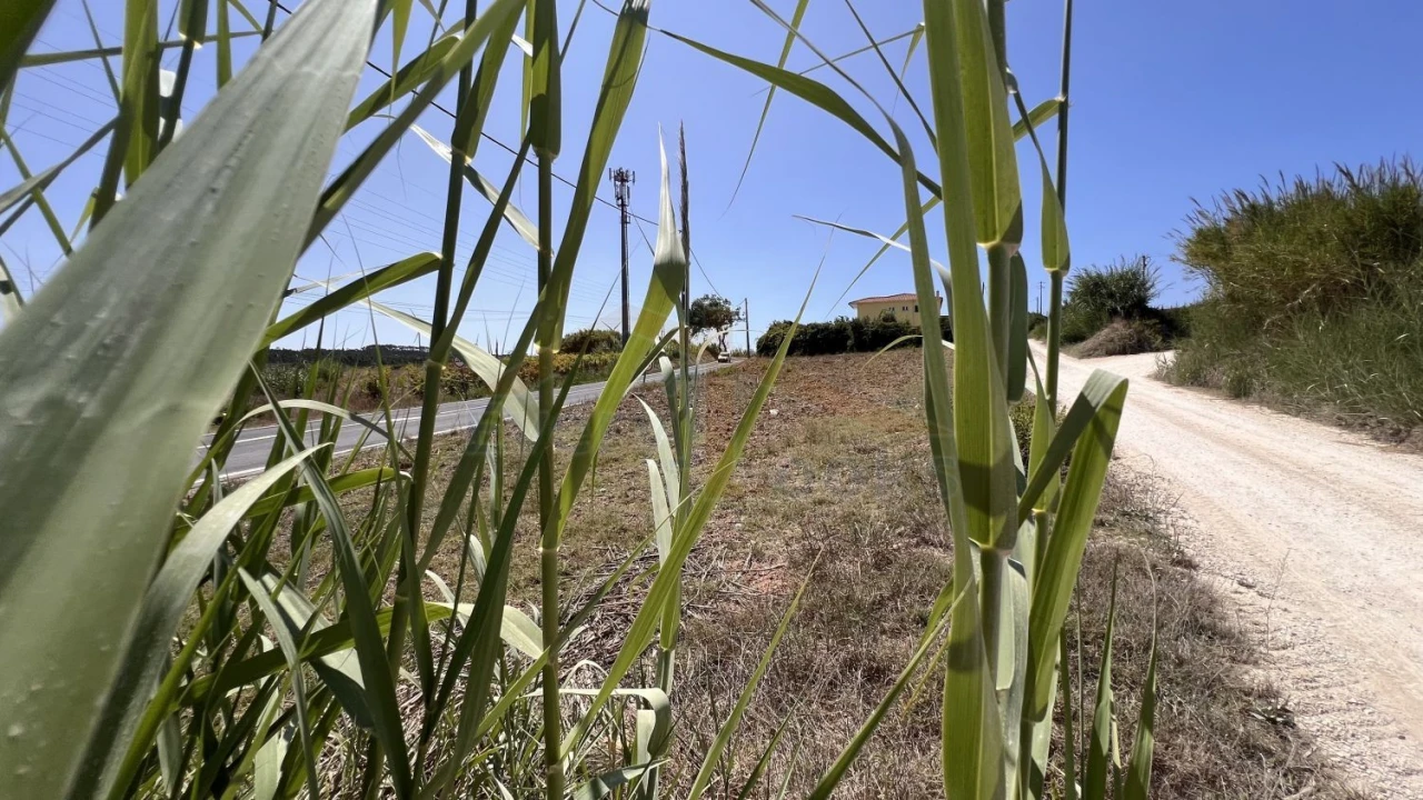 Terreno para Venda em Olho Marinho Foto 14