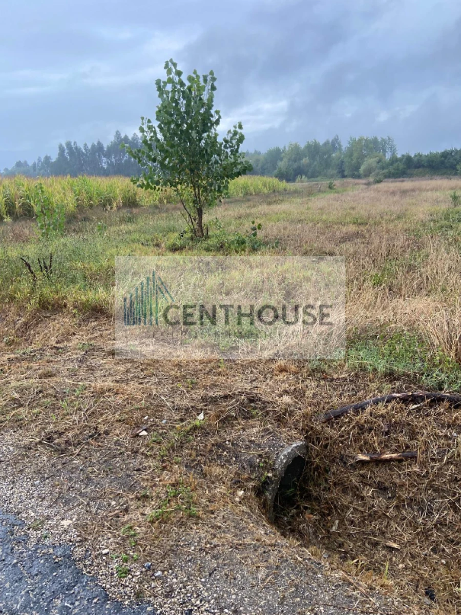 Terreno para Venda em Tocha Foto 3