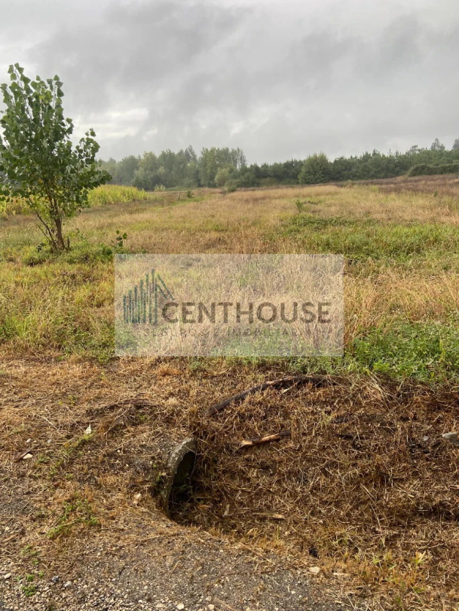 Terreno para Venda em Tocha Foto 2