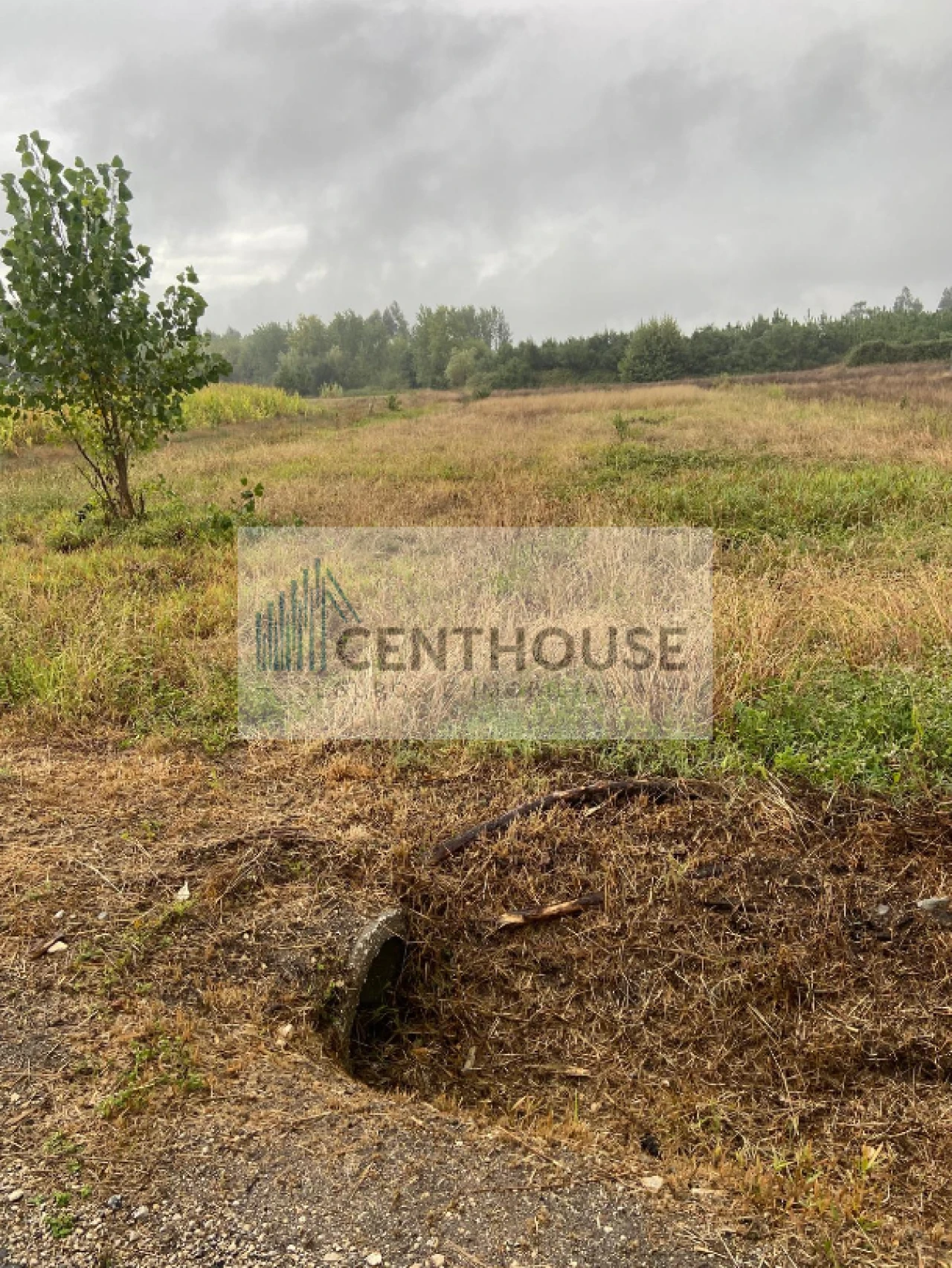 Terreno para Venda em Tocha Foto 2