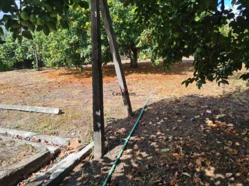 Moradia T3 para Venda em Rio de Loba