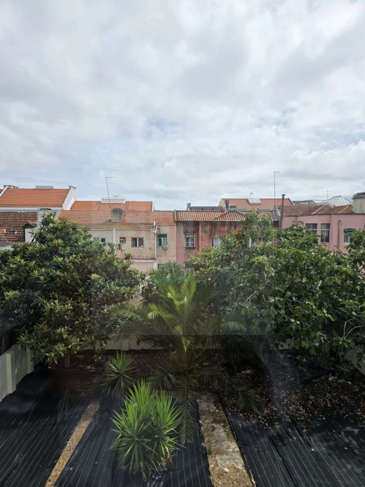 Apartamento T1 para Venda em Ajuda Foto 15