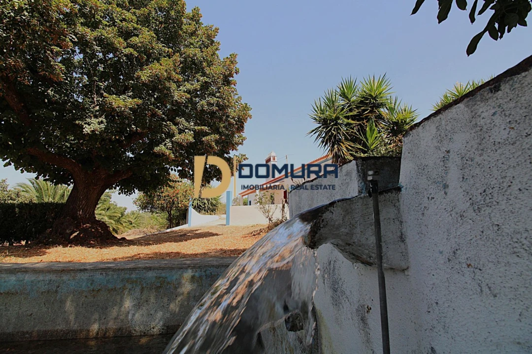 Quinta T3 para Venda em Terrugem e Vila Boim Foto 27