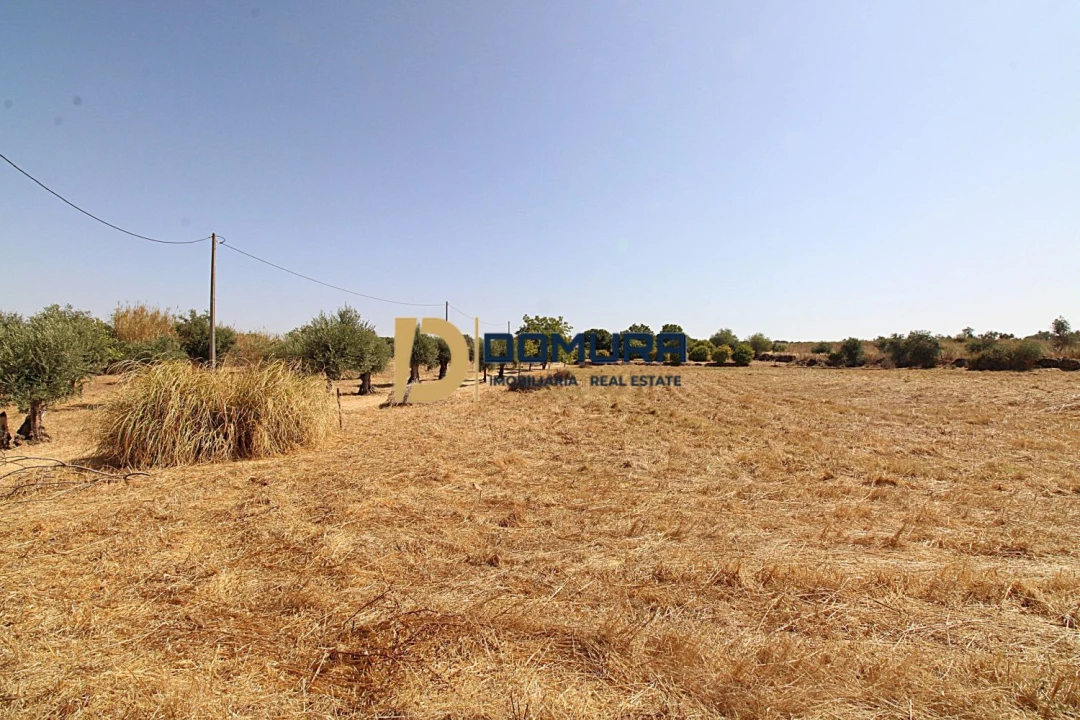 Quinta T3 para Venda em Terrugem e Vila Boim Foto 31