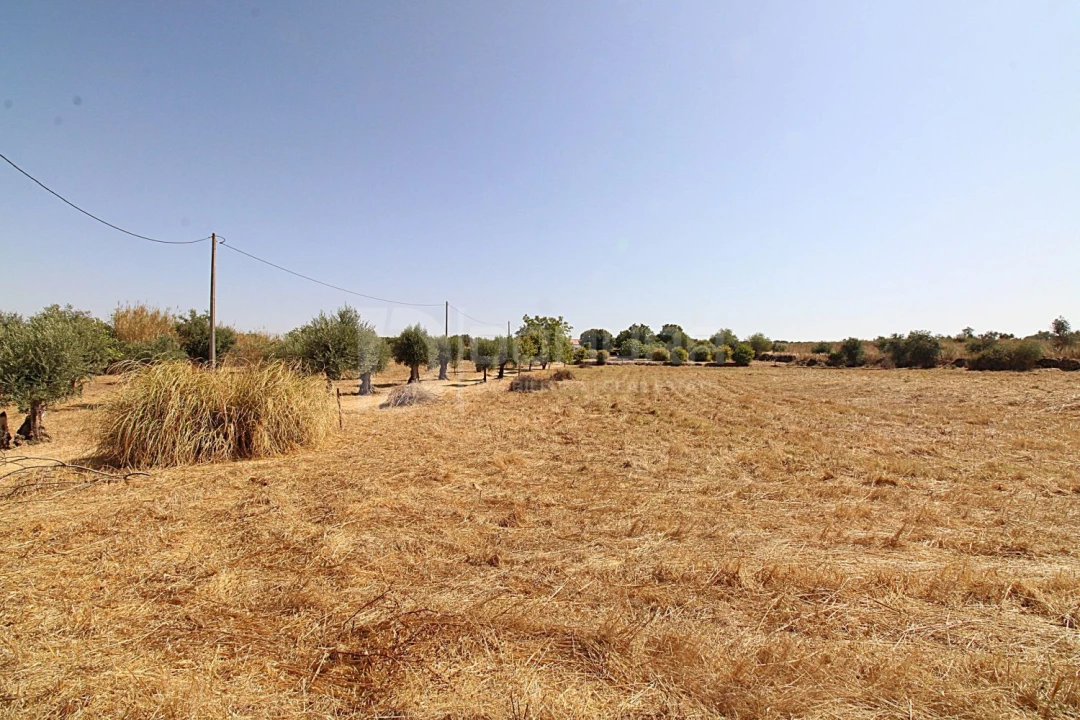 Quinta T3 para Venda em Terrugem e Vila Boim Foto 31
