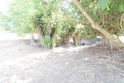 Quinta T3 para Venda em Terrugem e Vila Boim