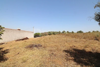 Quinta T3 para Venda em Terrugem e Vila Boim