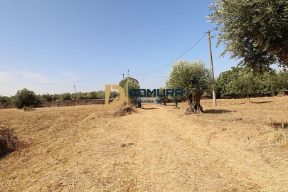 Quinta T3 para Venda em Terrugem e Vila Boim