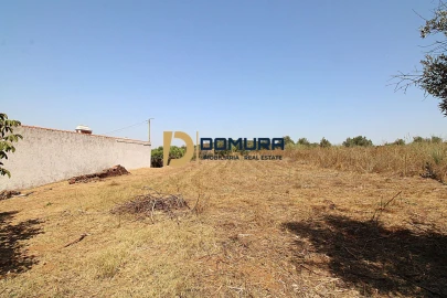 Quinta T3 para Venda em Terrugem e Vila Boim