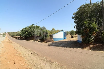Quinta T3 para Venda em Terrugem e Vila Boim