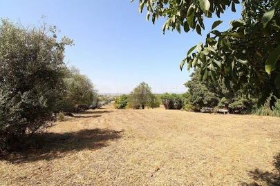 Quinta T3 para Venda em Terrugem e Vila Boim
