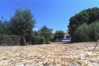 Quinta T3 para Venda em Terrugem e Vila Boim