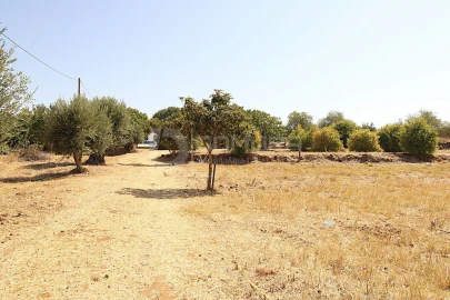 Quinta T3 para Venda em Terrugem e Vila Boim
