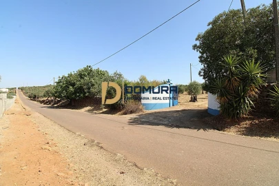 Quinta T3 para Venda em Terrugem e Vila Boim