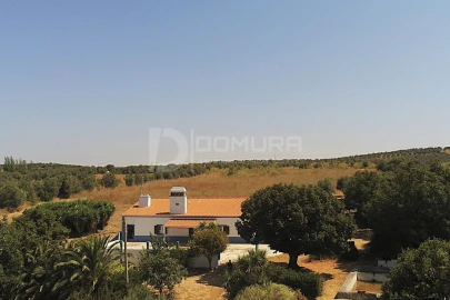 Quinta T3 para Venda em Terrugem e Vila Boim