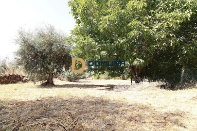 Quinta T3 para Venda em Terrugem e Vila Boim
