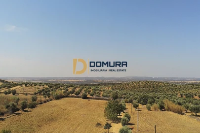 Quinta T3 para Venda em Terrugem e Vila Boim