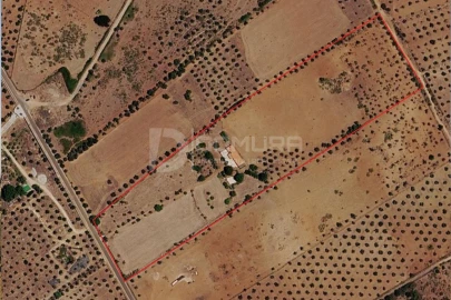 Quinta T3 para Venda em Terrugem e Vila Boim
