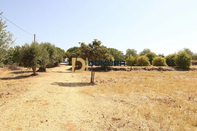 Quinta T3 para Venda em Terrugem e Vila Boim