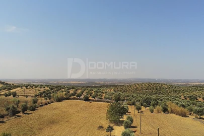 Quinta T3 para Venda em Terrugem e Vila Boim