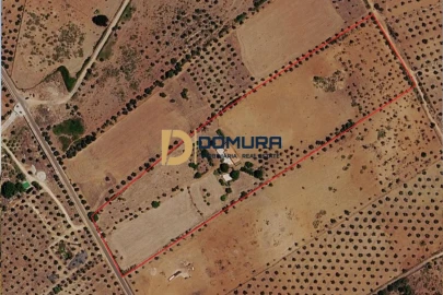 Quinta T3 para Venda em Terrugem e Vila Boim
