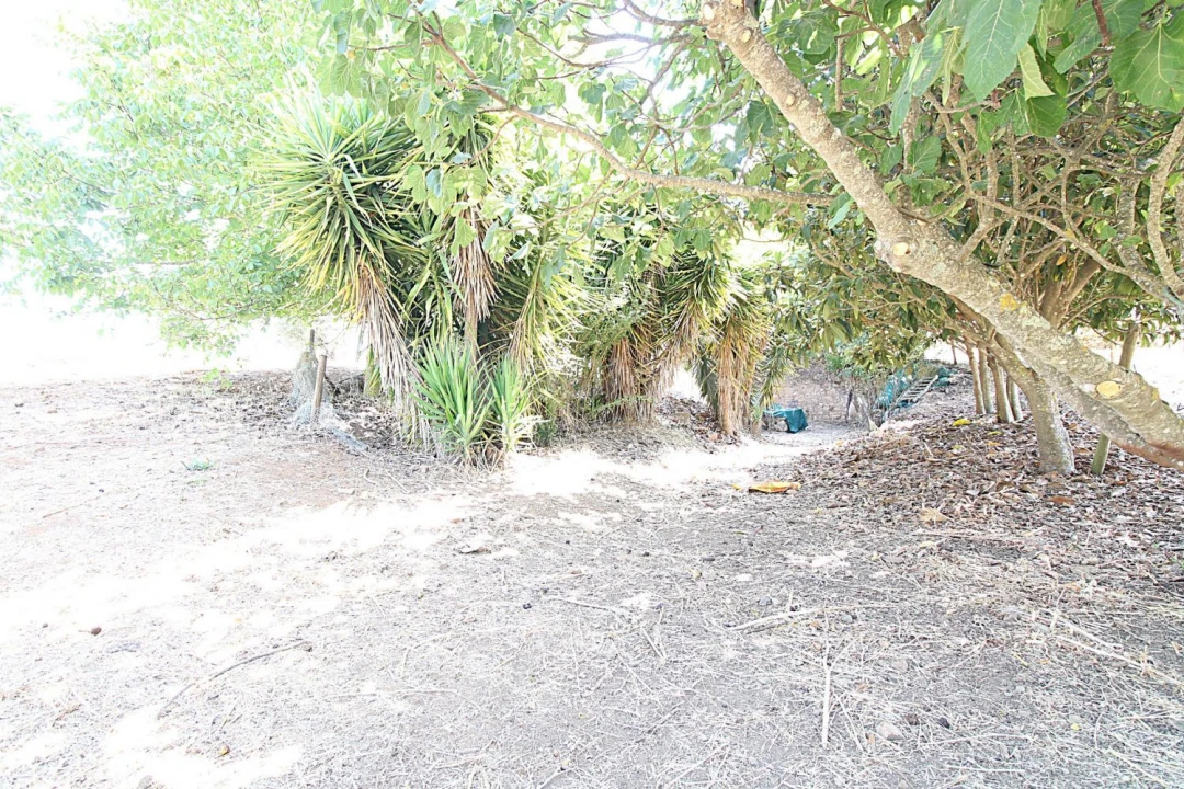 Quinta T3 para Venda em Terrugem e Vila Boim Foto 23