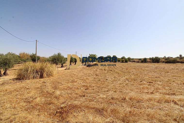 Quinta T3 para Venda em Terrugem e Vila Boim Foto 31