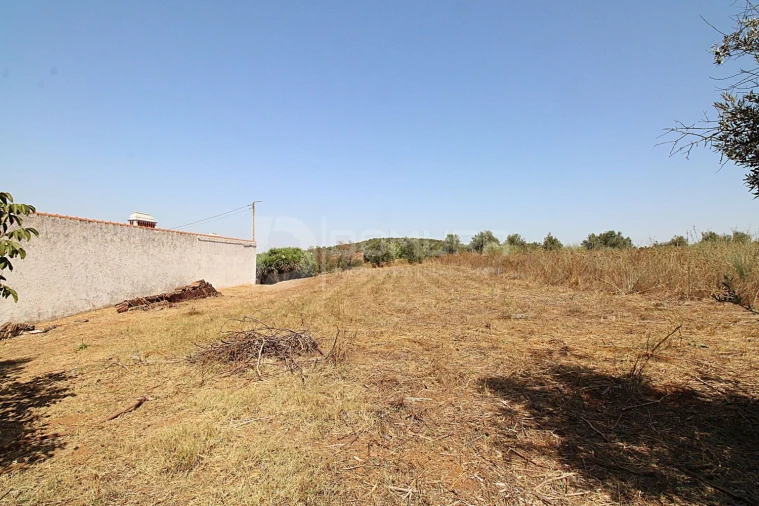 Quinta T3 para Venda em Terrugem e Vila Boim Foto 37