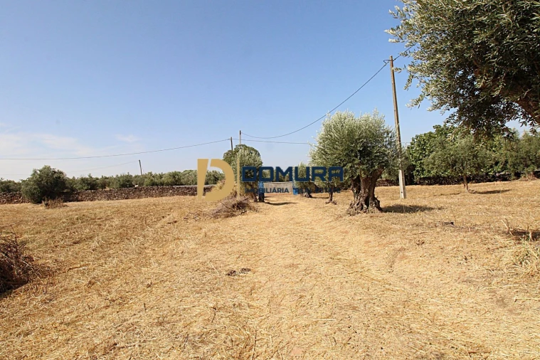 Quinta T3 para Venda em Terrugem e Vila Boim Foto 33