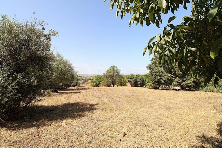 Quinta T3 para Venda em Terrugem e Vila Boim Foto 39