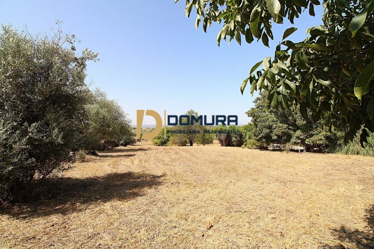 Quinta T3 para Venda em Terrugem e Vila Boim Foto 39