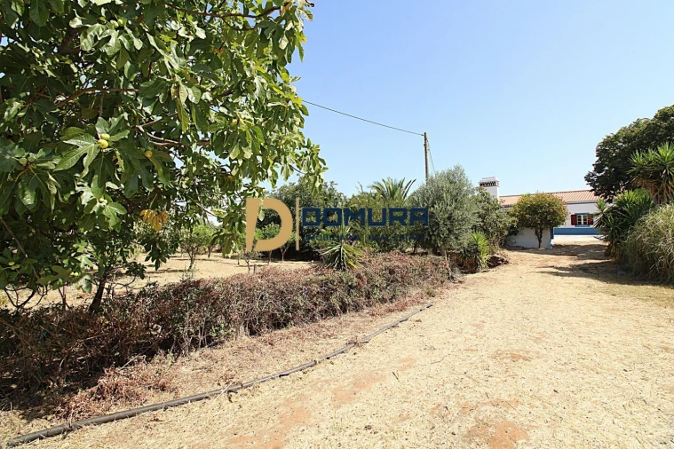 Quinta T3 para Venda em Terrugem e Vila Boim Foto 35
