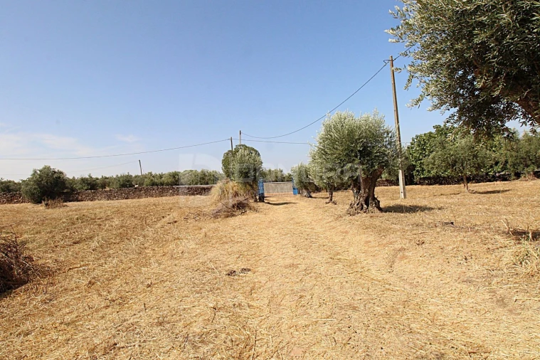 Quinta T3 para Venda em Terrugem e Vila Boim Foto 33
