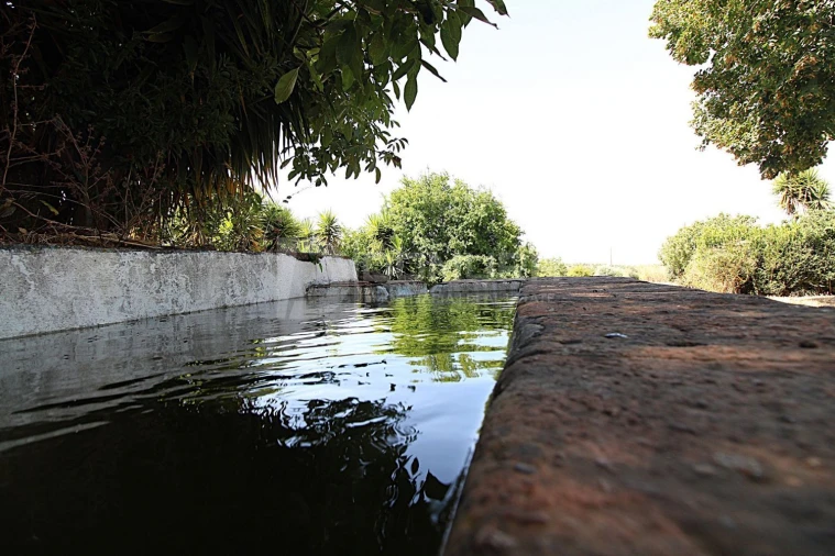 Quinta T3 para Venda em Terrugem e Vila Boim Foto 26