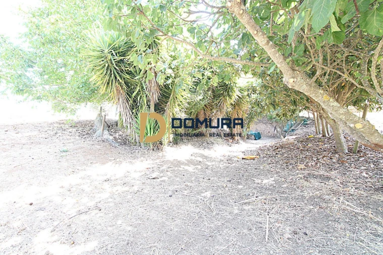 Quinta T3 para Venda em Terrugem e Vila Boim Foto 23