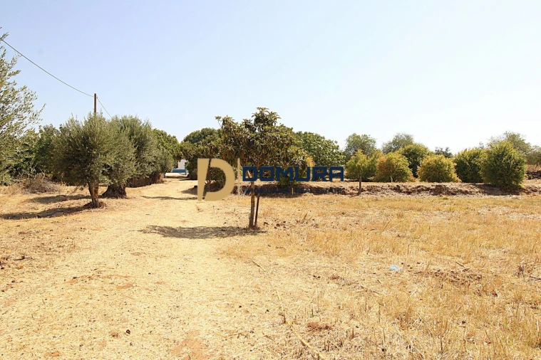 Quinta T3 para Venda em Terrugem e Vila Boim Foto 34