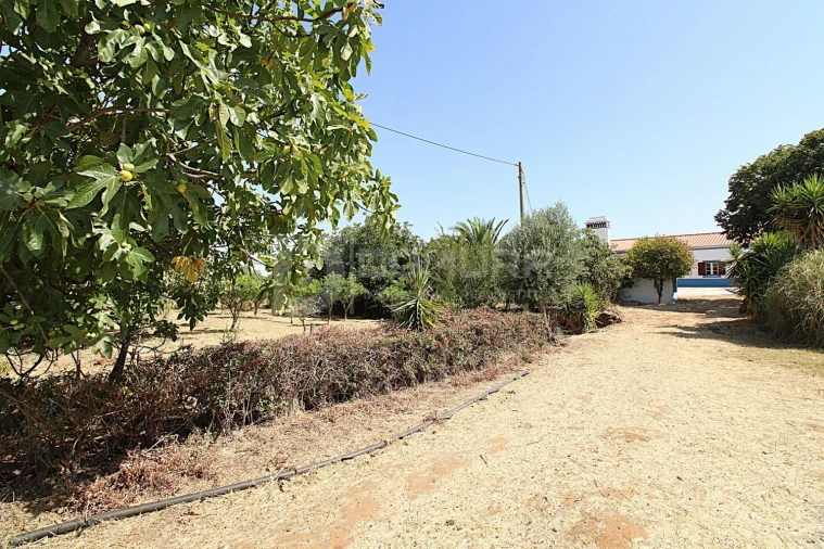 Quinta T3 para Venda em Terrugem e Vila Boim Foto 35