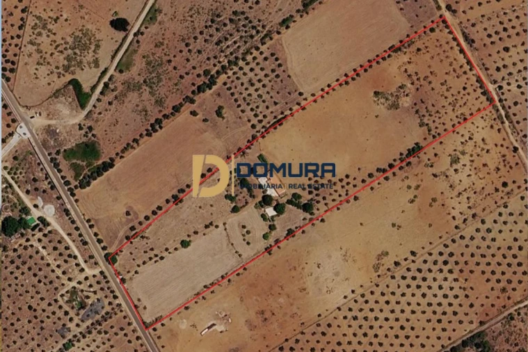 Quinta T3 para Venda em Terrugem e Vila Boim Foto 41