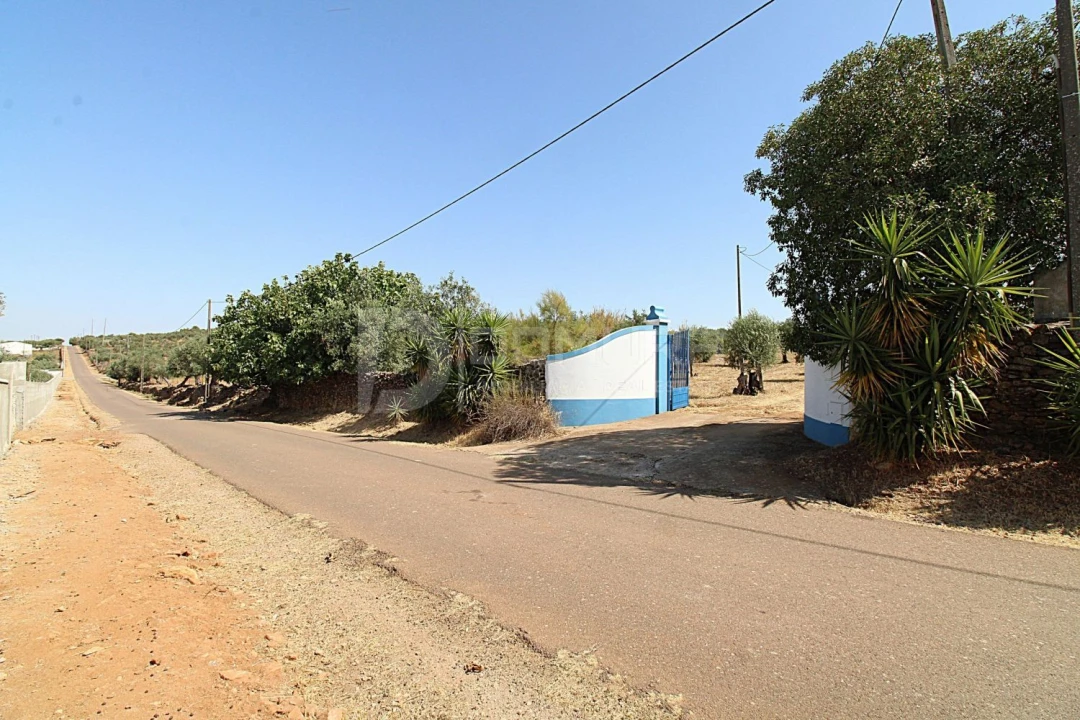 Quinta T3 para Venda em Terrugem e Vila Boim Foto 30