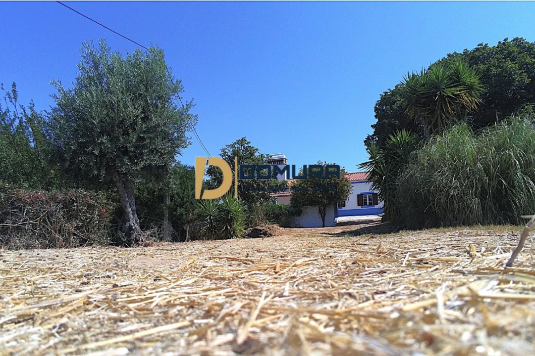 Quinta T3 para Venda em Terrugem e Vila Boim Foto 36