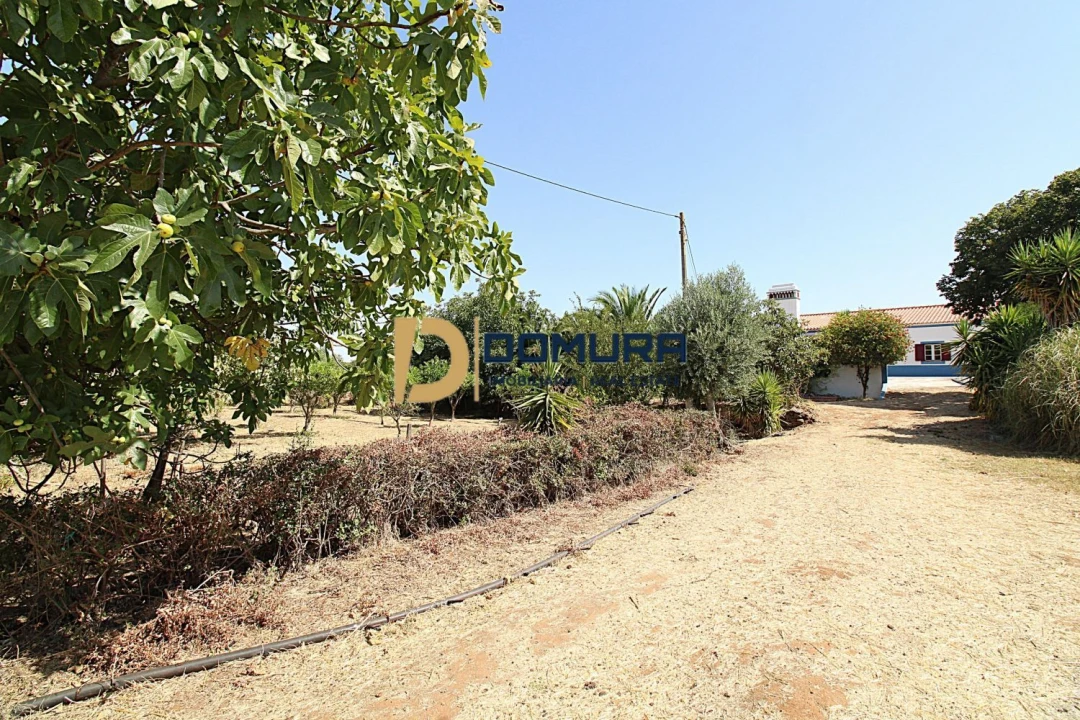 Quinta T3 para Venda em Terrugem e Vila Boim Foto 35