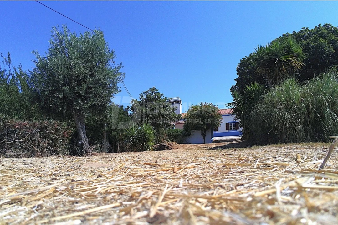 Quinta T3 para Venda em Terrugem e Vila Boim Foto 36