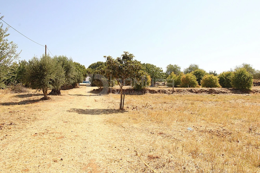 Quinta T3 para Venda em Terrugem e Vila Boim Foto 34