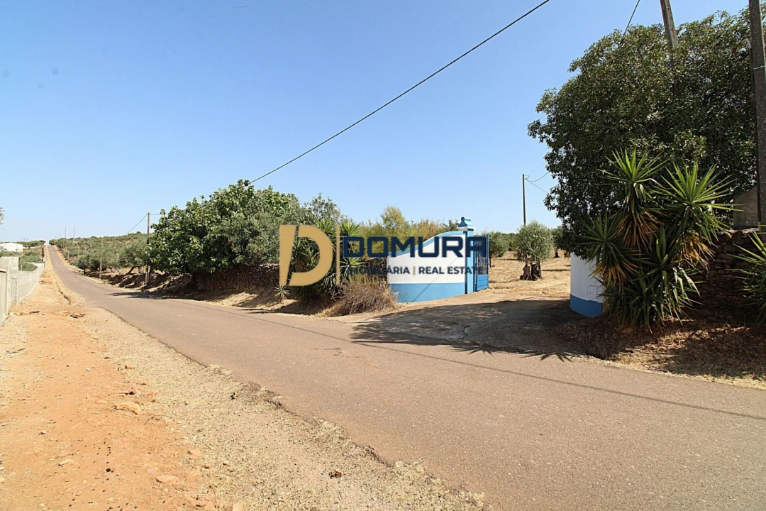 Quinta T3 para Venda em Terrugem e Vila Boim Foto 30