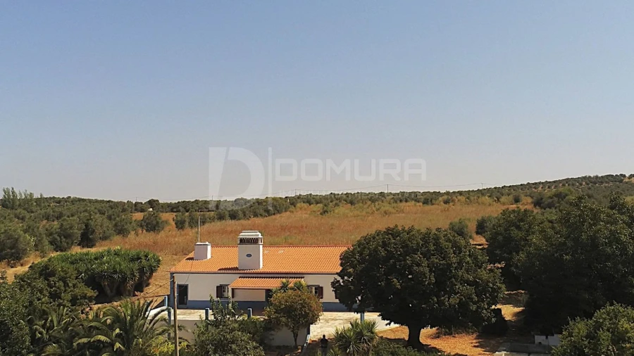 Quinta T3 para Venda em Terrugem e Vila Boim